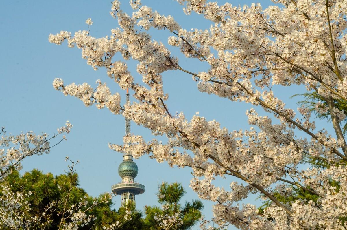 夏天生活小知识_夏天的生活小技巧_夏天三个生活小窍门是